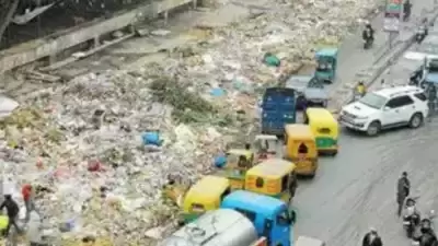 دنیا کے 20 انتہائی آلودہ شہروں میں ہندوستانی شہروں کا غلبہ؛ دہلی رہی سب سے آلودہ راجدھانی