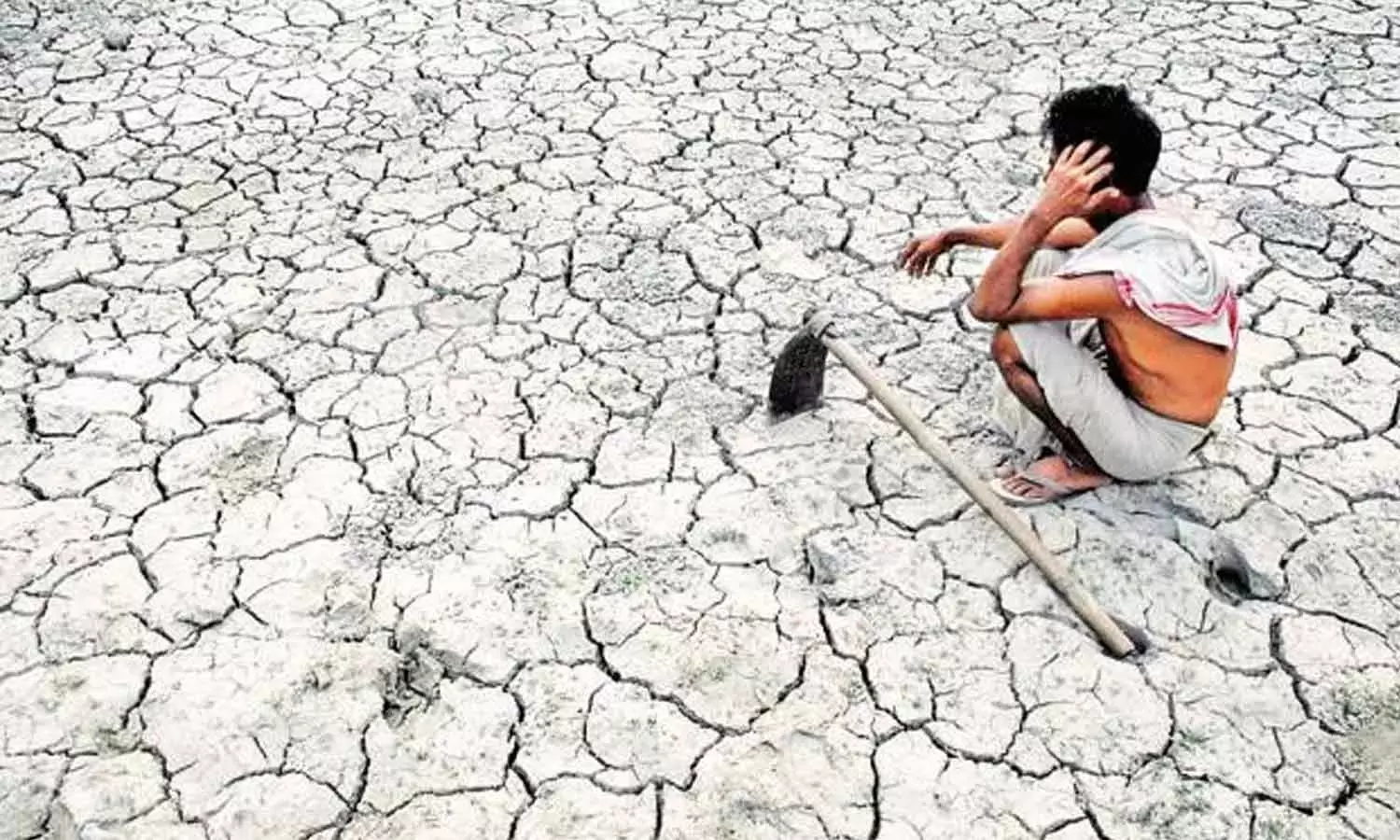 مہاراشٹر میں 767 کسانوں کی خودکشی، کانگریس کا مودی حکومت پر شدید حملہ