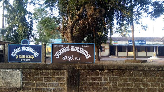 بھٹکل تعلقہ پنچایت سے متعلقہ ناریل کی فصل کے لئے عام نیلامی