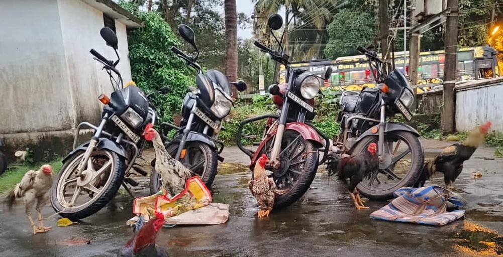 مرڈیشور میں جوئے کے اڈے پر پولس کا  چھاپہ؛ تین افراد گرفتار؛ 4 بائیکس اور 6 مرغے ضبط