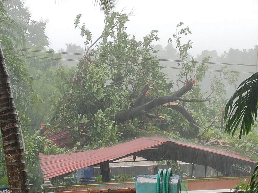 بھٹکل میں طوفانی ہواؤں کے ساتھ موسلادھار بارش؛ دو لوگوں کی موت؛ کئی مکانوں کی چھتیں اُڑ گئیں، درخت اور بورڈس گِر پڑے؛ الیکٹری سٹی بھی متاثر
