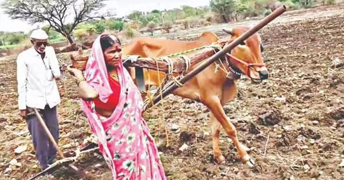 بجلی گرنے سے بیل کی ہلاکت کے بعد کسان نے بیوی کو ہی ہل سے باندھ دیا، معاملہ سامنے آنے کے بعد حکومت نے فراہم کی مدد