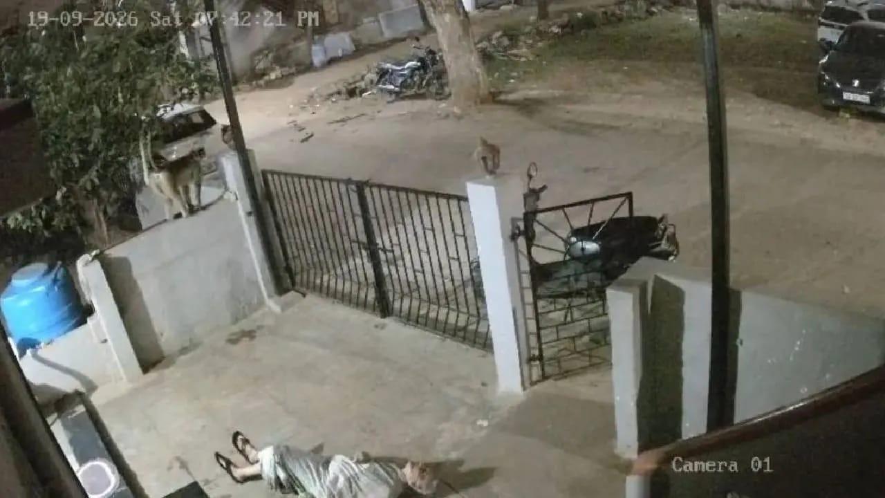 کرناٹک کے کوپّل میں بندر کے حملے سے 91 سالہ خاتون کی موت