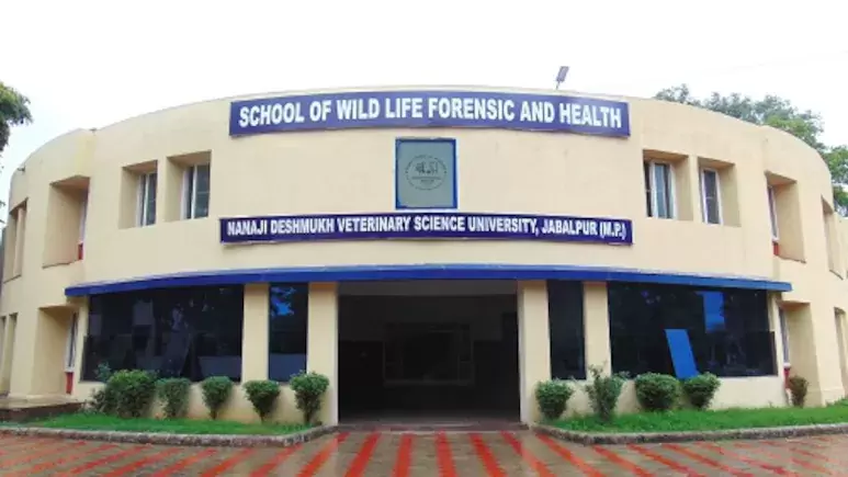 ریسرچ فنڈ میں 3.5 کروڑ کا گھپلہ، جانچ کے بعد یونیورسٹی انتظامیہ کی وضاحت