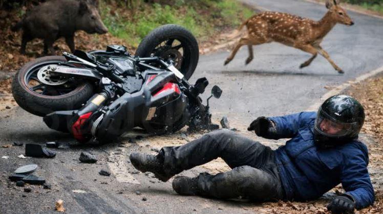 انکولہ میں جنگلی جانور سامنے آنے سے بائک الٹ گئی - سوار شدید زخمی