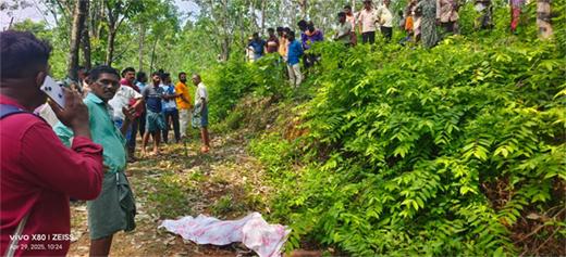 پتور : جنگلی ہاتھی کے حملہ میں خاتون کی موت
