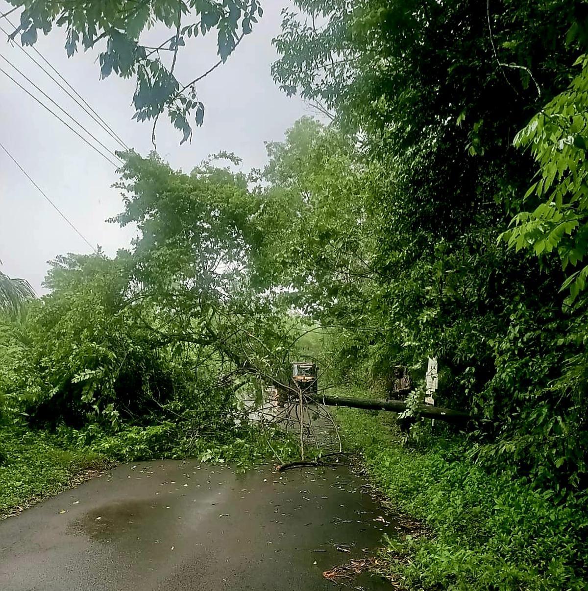 منگلورو : بھاری برسات کی وجہ سے میسکام کو ہوا 16.45 کروڑ روپوں کا نقصان
