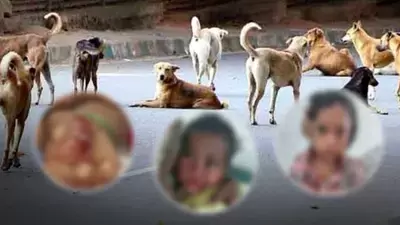 اڈپی : گزشتہ آٹھ مہینوں میں پیش آئے کتے کاٹنے کے 7,475 اور سانپ کاٹنے کے 194 واقعات