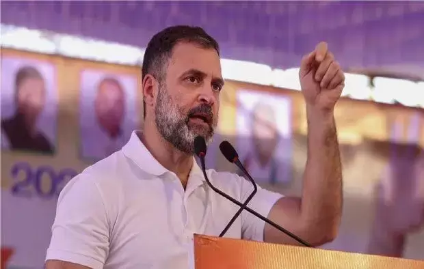 دہلی انتخاب: ’ہندوستان ہر ہندوستانی کا ہے‘، سیلم پور میں راہل گاندھی کا آئین کا حوالہ