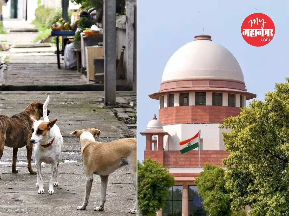 آوارہ کتوں کے بڑھتے واقعات پر سپریم کورٹ کا اظہارِ برہمی، ریاستوں سے فوری ایکشن رپورٹ طلب