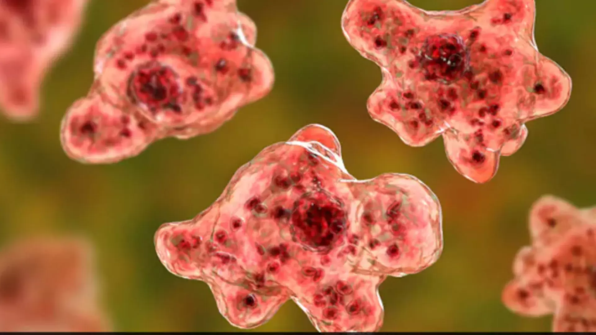 کیرالہ میں دماغ خور امیبا کا قہر، 69 کیسز کی تصدیق اور 19 اموات، عوام کو الرٹ رہنے کی ہدایت