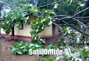 چکمگلورو میں بھاری بارش، درخت گرنے سے ایک خاتون ہلاک، دیہی علاقوں میں بجلی کی فراہمی متاثر، اسکولوں اورکالجوں میں چھٹی