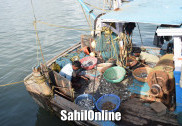 یکم جون سے 31جولائی تک ماہی گیری پر پابندی کا آغاز