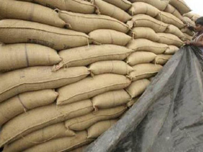 Commerce ministry says no export ban on rice