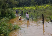 گیروسوپا ڈیم سے 61ہزارکیوسیکس پانی چھوڑنے پر شراوتی ندی کے بائیں کنارے پر سیلاب کے بعد حالات میں سدھار 