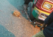 ساحلی کرناٹکا میں زور دار بارش؛ بیندور میں مندرکے کمپائونڈ کی دیوار گرنے سے ایک طالبہ ہلاک؛ سڑکیں تالاب میں تبدیل؛ مینگلور اُڈپی میں ندیاں اُبلنے کی خبریں