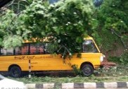 منگلورومیں اسکول بس پر گرا بہت بڑا درخت۔17اسکولی بچے بال بال بچ گئے!