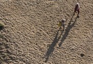 تمل ناڈو کے خشک سالی سے متاثرہ اضلاع کے آبی ذخائر میں صرف 55 فیصد پانی، کسانوں کو دیا گیا یہ مشورہ