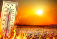 شدید گرمی سے ناگپور میں جھلس گئے لوگ، 56 ڈگری سلسیس تک پہنچا درجۂ حرارت