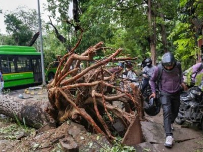 دہلی میں آندھی طوفان سے تباہی، سینکڑوں درخت اکھڑ گئے، 2 افراد ہلاک، 23 زخمی